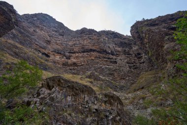 Barranco del Infierno Canyon Tenerife 'de yemyeşil ağaç yaprakları çerçeveli yüksek katmanlı volkanik kayalık bir duvar.