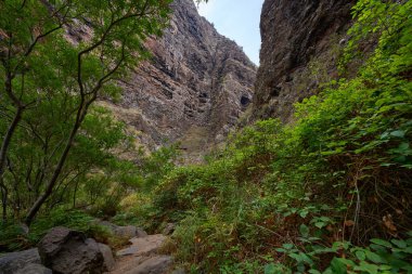 Barranco del Infierno 'nun derin vadisinden geçen kayalıklarla kaplı patikanın üzerinde yükselen uçurumlar.