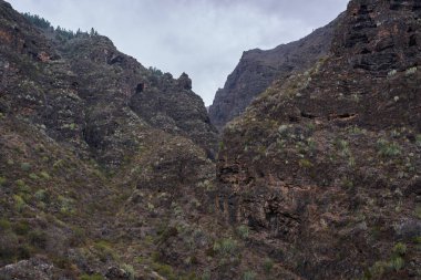 Barranco del Infierno Tenerife 'deki kanyon duvarları üzerinde seyrek sulu bitki örtüsüyle kaplı katmanlı volkanik kaya zirvesi yükselir.