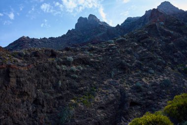 Engebeli volkanik kitle gösterileri jeolojik katmanları ortaya çıkardı, çok seyrek bitki örtüsüyle noktalandı..