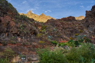 Anaga Vadisi 'ndeki agave ve kaktüslü küçük çitli bir bahçenin üzerinde yükselen pürüzlü tepeleri olan engebeli volkanik kayalıklar.