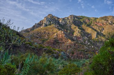 Engebeli volkanik dağ zirveleri renkli kaya oluşumları ve Anaga manzarasının ön planında agave bitkileri.