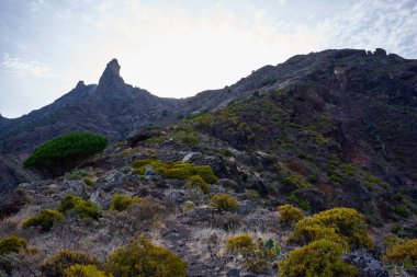 Engebeli tepeleri ve Anaga 'da yeşil bitki örtüsüyle kaplı derin vadileri olan güneşli volkanik dağ kitlesi.