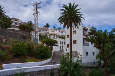 Beyaz geleneksel binalar ve Kanarya Adaları, Taganana köyünde Tenerife Dağları 'nda eczane bulunan yamaçlarda palmiye sırasına dizili.