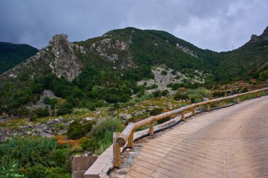 Ahşap korkuluklu beton yol Anaga Dağları 'ndaki yemyeşil bitki örtüsüyle dramatik volkanik dağ manzarasına tırmanıyor.