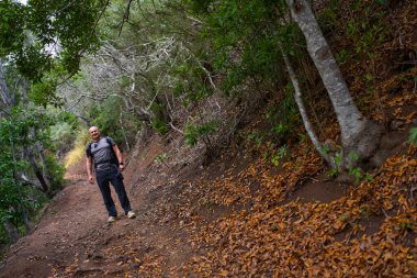 Anaga, Tenerife 'deki Afur köyüne doğru giden yolda kameralı bir erkek yürüyüşçü.