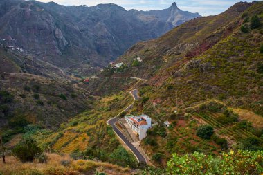 Anaga Tenerife 'de volkanik tepeler ve teraslı yamaçlarla çevrili Afur köyünde beyaz evleri olan dolambaçlı dağ yolu.