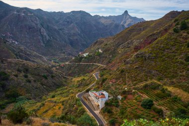 Anaga Tenerife 'de volkanik tepeler ve teraslı yamaçlarla çevrili Afur köyünde beyaz evleri olan dolambaçlı dağ yolu.