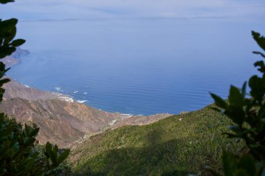 Atlantik Okyanusu kıyısına inen dağ vadisi Almaciga köyü, Anaga Kırsal Parkı Tenerife 'deki Laurisilva orman bitkisi tarafından çerçevelenmiş kıyıda görülebiliyor.