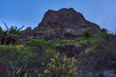 Antik jeolojik oluşumlar Masca kanyonu zemininin hassas yeşilliklerine dayanıklı ve heybetli bir zemin sağlar..