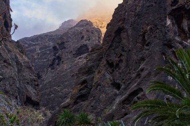 Antik jeolojik oluşumlar Masca kanyonu zemininin hassas yeşilliklerine dayanıklı ve heybetli bir zemin sağlar..