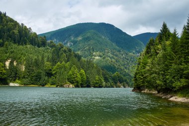 Göllü dağ manzarası