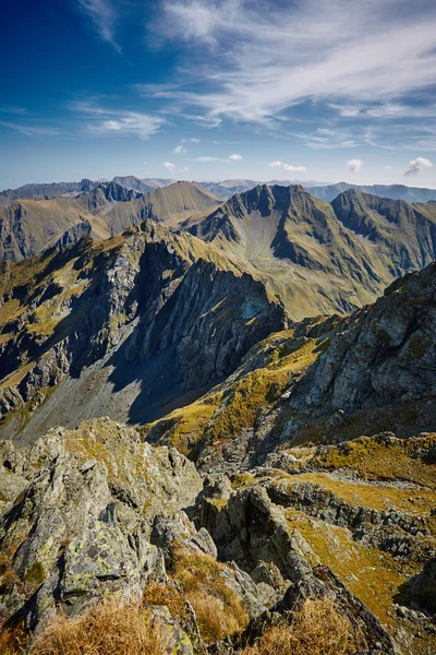 Höga berg på sommaren — Stockfoto