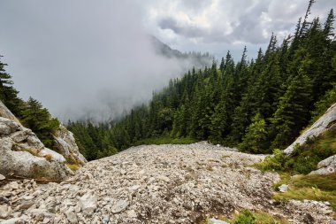 güzel dağlık manzara