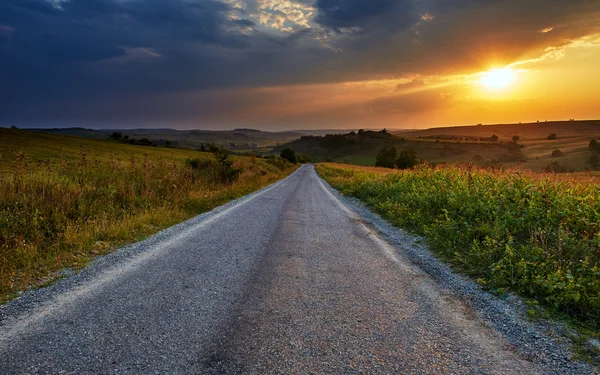Estrada através de campos de milho ao pôr do sol — Fotografia de Stock