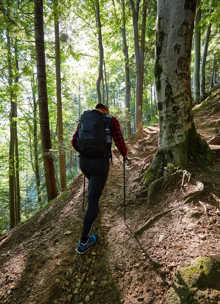 Backpacker with walking poles hiking — Stock Photo, Image