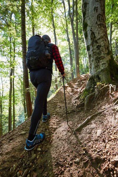 Backpacker mit Wanderstöcken wandern — Stockfoto