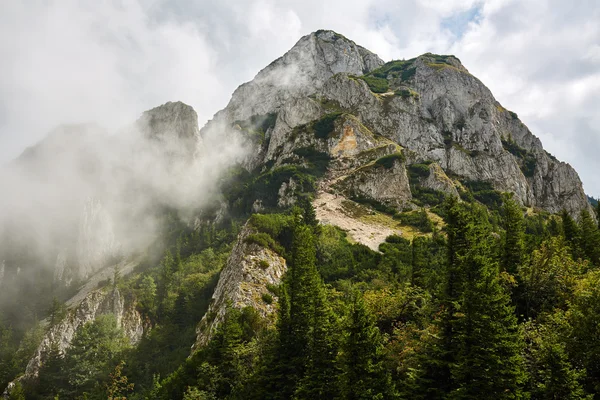 Bellissimo paesaggio montano — Foto Stock