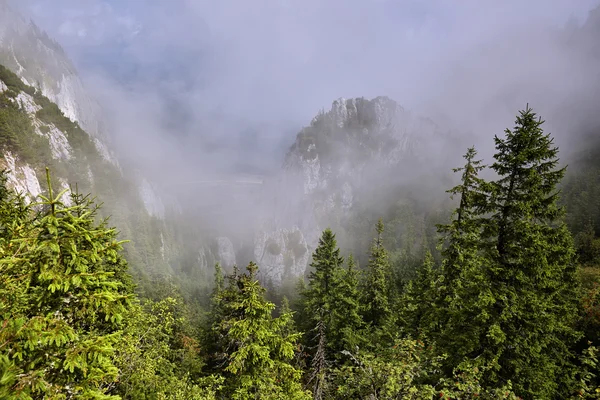 美しい雲と山岳風景 — ストック写真