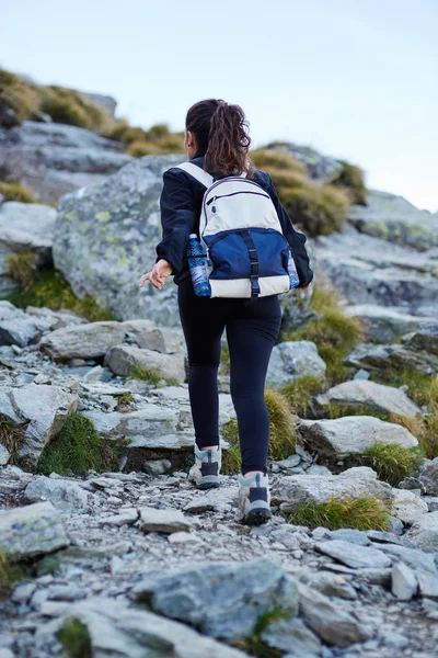 Vrouw wandelaar op trail — Stockfoto