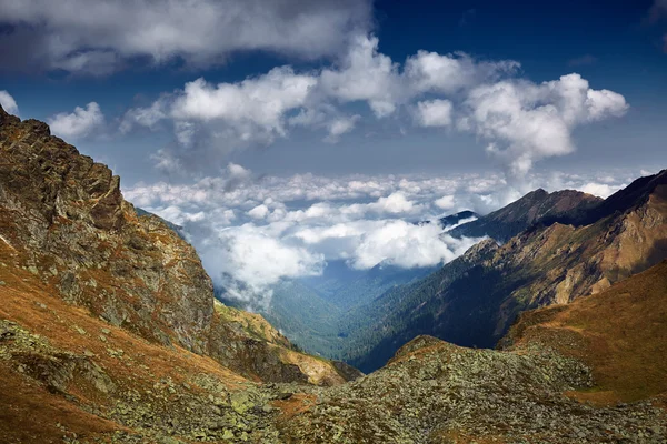 Beautiful mountain view in the summer — Stock Photo, Image