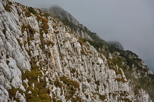 Paisagem montanhosa no dia de verão Imagem De Stock