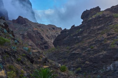 Sivri uçlu Maska kaya oluşumunun dramatik bir görüntüsü. Kısmen kalın beyaz dağ sisi tarafından gizlenmiş..