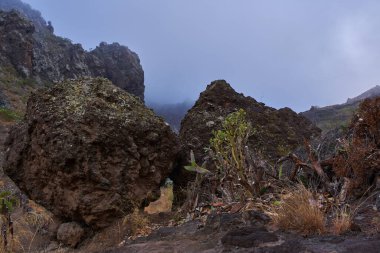 İkonik bir Tenerife manzarası sabah sisi ile çevrili keskin bir dağ sırtı sergiliyor..