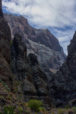 Karanlık volkanik kaya dokusu yumuşak beyaz sis ve dağınık çöl bitkileriyle çelişiyor..