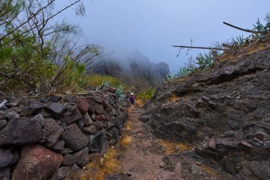 Dişi yürüyüşçü sisli Masca geçidi patikasından aşağı iniyor. Büyük agave bitkileri ve volkanik kayalarla yol boyunca.