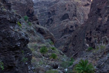 Karanlık mağaranın içinden, yamaçlarda bitki örtüsüyle açılan Masca vadisi uçurum oluşumlarının görüntüsü