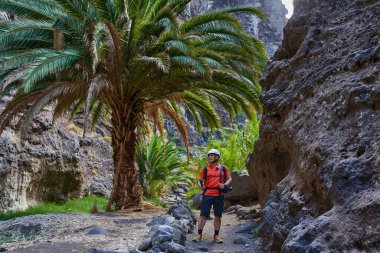 Masca vadisinde kaskı ve kamerası olan erkek yürüyüşçü palmiye ağaçları ve dar volkanik kanyon duvarları arasında yol alıyor.