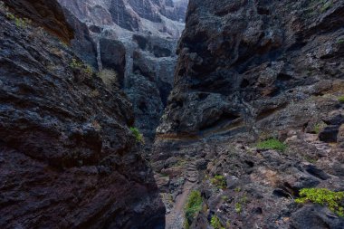 Tenerife 'deki derin kanyon manzarası devasa dikey taş duvarlarla çevrili dolambaçlı bir patikayı gösteriyor.