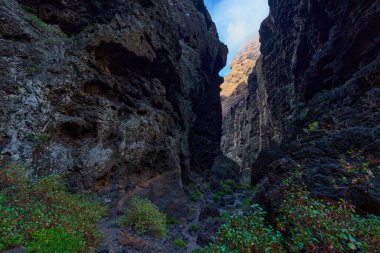 Manzaralı yürüyüş yolu dik volkanik kaya oluşumları ve Tenerife 'deki yemyeşil Masca Vadisi' nde kıvrılıyor.