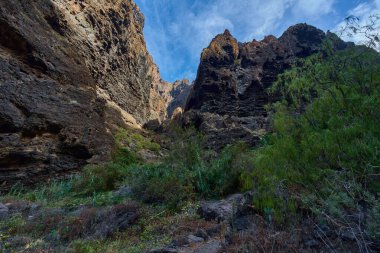 Altın güneşli duvarları ve mavi gökyüzünün altındaki patika boyunca uzanan yemyeşil bitkileri olan Masca vadisi uçurumları.