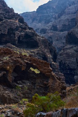 Los Gigantes kayalıklarının yıpranmış volkanik kaya oluşumlarında bitki örtüsü ve okyanus manzaralı mağaralar açılıyor.