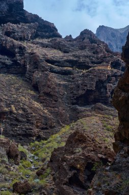 Los Gigantes kayalıklarının yıpranmış volkanik kaya oluşumlarında bitki örtüsü ve okyanus manzaralı mağaralar açılıyor.