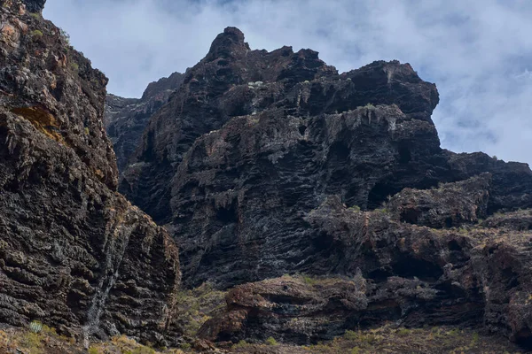 Los Gigantes kayalıklarının yıpranmış volkanik kaya oluşumlarında bitki örtüsü ve okyanus manzaralı mağaralar açılıyor.