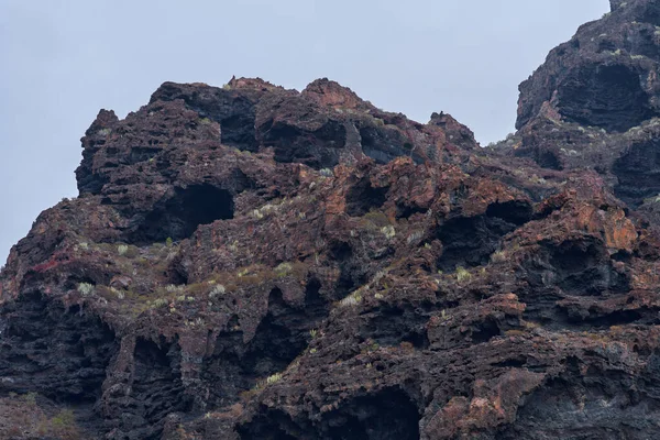 Los Gigantes kayalıklarının yıpranmış volkanik kaya oluşumlarında bitki örtüsü ve okyanus manzaralı mağaralar açılıyor.