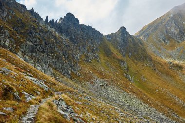 Dağlarda yürüyüş parkuru.