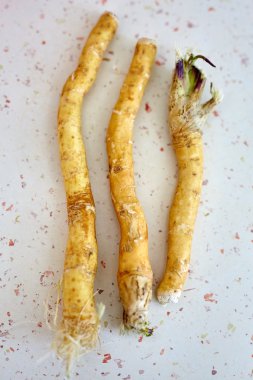 Üç horseradish kökleri