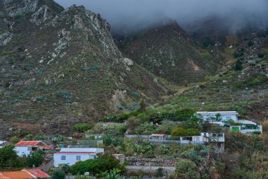 El Draguillo köyü, Anaga yamacında sık bitki örtüsünün arasına kurulmuş, geleneksel beyaz evler, belirgin bir ejderha ağacı, bougainvillea, ve yukarıdaki yamaçlarda görünen kullanılmayan tarımsal teraslar.