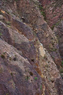 Anaga, Tenerife 'deki renkli volkanik dağ geçidi duvarları, kırmızı, turuncu, mor ve koyu demir zengini kaya çökeltilerini, aşınmış yüzeylere yapışmış, seyrek endemik çalılık bitkilerine sahip canlı, çok renkli katmanlar sergiliyor.
