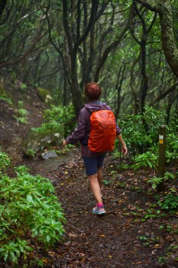 Dişi bir yürüyüşçü, Tenerife 'de yağmur yağarken yoğun bir lav ormanında dar bir patika boyunca yürür.