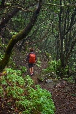 Dişi bir yürüyüşçü, Tenerife 'de yağmur yağarken yoğun bir lav ormanında dar bir patika boyunca yürür.