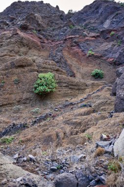 Tenerife 'nin Anaga bölgesindeki bir yamaç yüzeyindeki katmanlı kırmızı ve koyu renkli volkanik kayaları kesen volkanik hendekler antik magma saldırıları sonucu oluşmuştur.