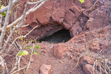 Kırmızı volkanik kayalarda lav tünelinin açılması kısmen Tenerife 'nin Anaga bölgesindeki çıplak çalılıklar tarafından gizleniyor.