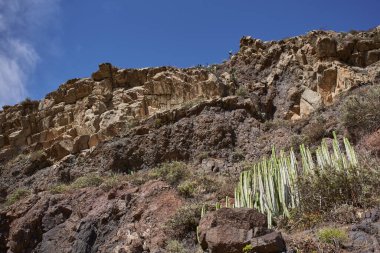 Tepeden tırnağa kırmızı ve koyu renkli volkanik yamaçların birbirine zıt kaya dokuları ve Tenerife 'nin Anaga bölgesindeki seyrek endemik bitki örtüsüyle yakın çekimi.