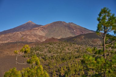 Renkli volkanik dağ tepelerinin panoramik manzarası ve bir çam ormanının üzerindeki krater sırtları..