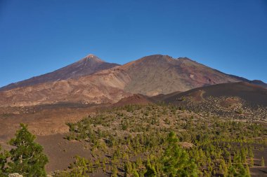 Renkli volkanik dağ tepelerinin panoramik manzarası ve bir çam ormanının üzerindeki krater sırtları..